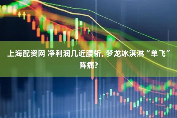 上海配资网 净利润几近腰斩, 梦龙冰淇淋“单飞”阵痛?