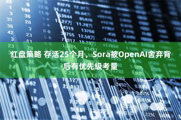 红盘策略 存活25个月，Sora被OpenAI舍弃背后有优先级考量
