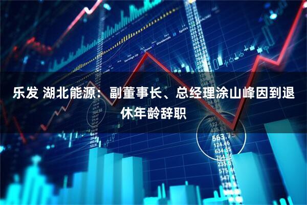 乐发 湖北能源：副董事长、总经理涂山峰因到退休年龄辞职