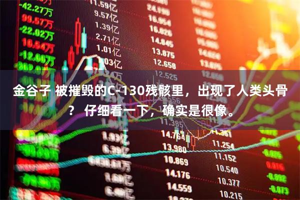 金谷子 被摧毁的C-130残骸里，出现了人类头骨？ 仔细看一下，确实是很像。