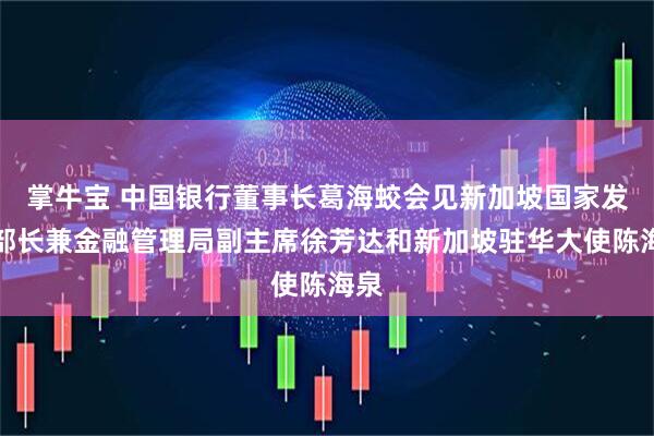 掌牛宝 中国银行董事长葛海蛟会见新加坡国家发展部长兼金融管理局副主席徐芳达和新加坡驻华大使陈海泉