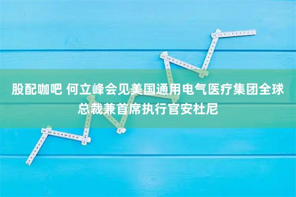 股配咖吧 何立峰会见美国通用电气医疗集团全球总裁兼首席执行官安杜尼
