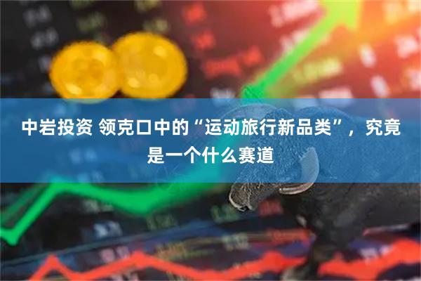 中岩投资 领克口中的“运动旅行新品类”，究竟是一个什么赛道