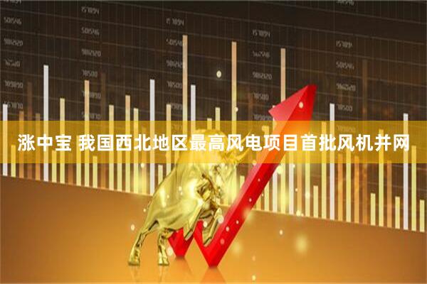 涨中宝 我国西北地区最高风电项目首批风机并网
