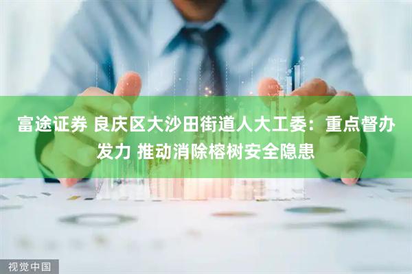 富途证券 良庆区大沙田街道人大工委：重点督办发力 推动消除榕树安全隐患