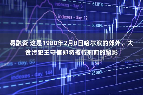 易融资 这是1980年2月8日哈尔滨的郊外，大贪污犯王守信即将被行刑前的留影