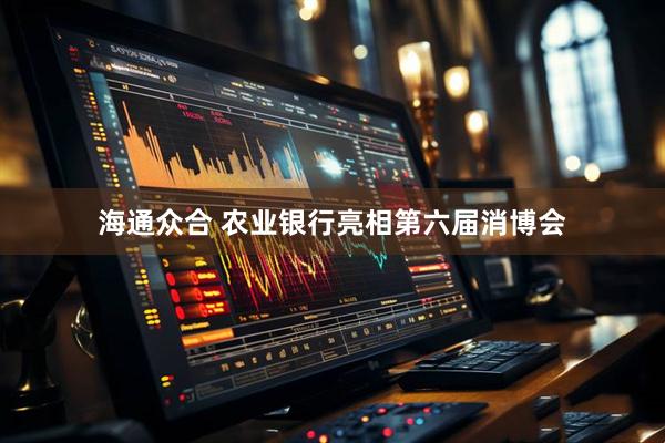 海通众合 农业银行亮相第六届消博会