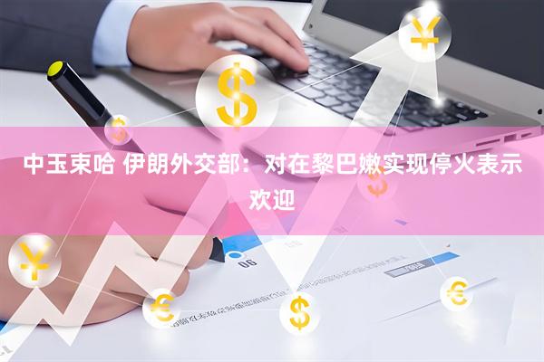 中玉束哈 伊朗外交部：对在黎巴嫩实现停火表示欢迎