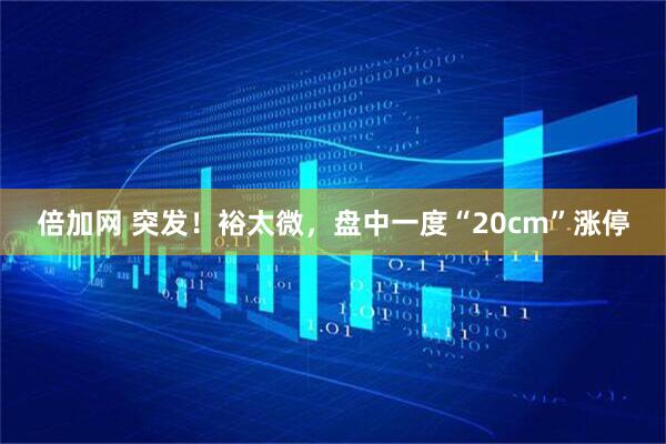 倍加网 突发！裕太微，盘中一度“20cm”涨停