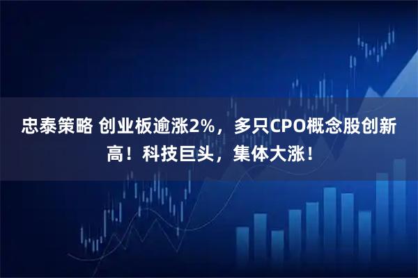 忠泰策略 创业板逾涨2%，多只CPO概念股创新高！科技巨头，集体大涨！