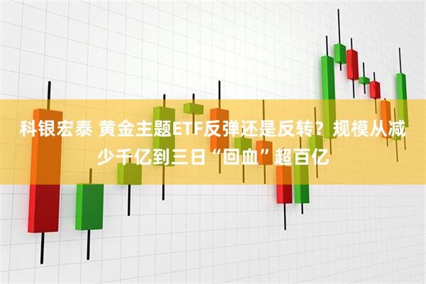 科银宏泰 黄金主题ETF反弹还是反转？规模从减少千亿到三日“回血”超百亿