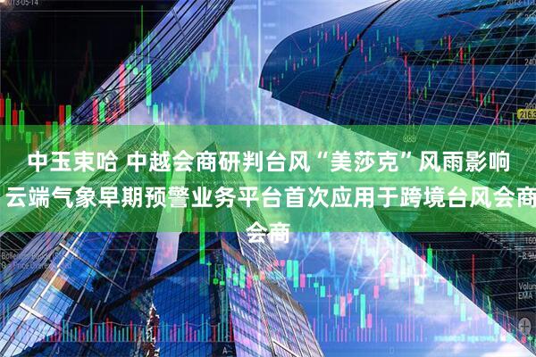 中玉束哈 中越会商研判台风“美莎克”风雨影响 云端气象早期预警业务平台首次应用于跨境台风会商